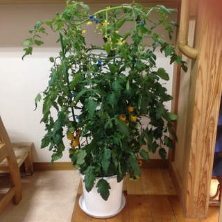 20160129_075749868_iOS.jpg