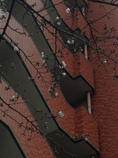 20160318_073000783_iOS.jpg