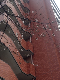 20160319_043245863_iOS.jpg
