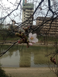 20160319_043330056_iOS.jpg